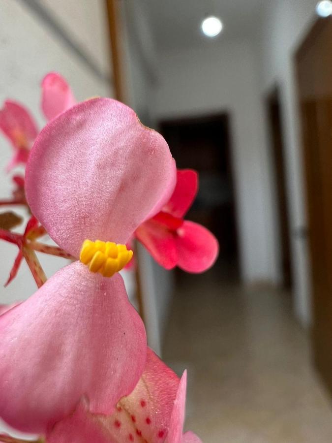 Alex Apartments Saranda Kültér fotó