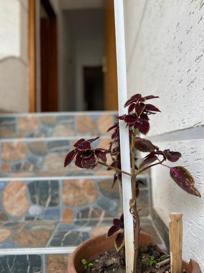 Alex Apartments Saranda Kültér fotó