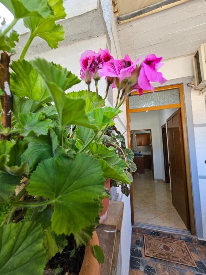 Alex Apartments Saranda Kültér fotó