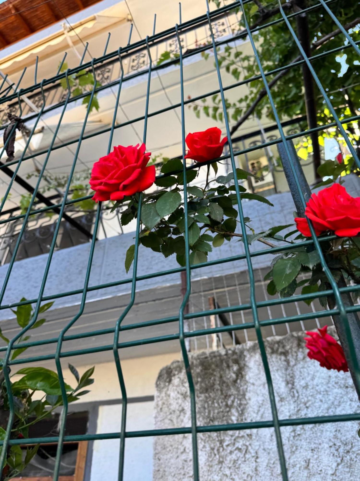 Alex Apartments Saranda Kültér fotó